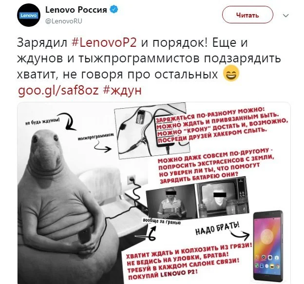 виды контента трендовое фото