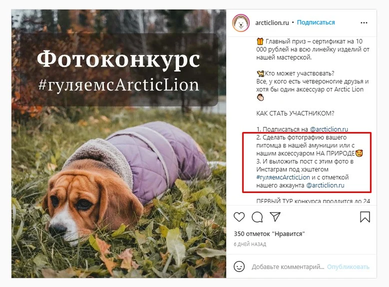 как продвигать розыгрыш в инстаграм пользовательский контент
