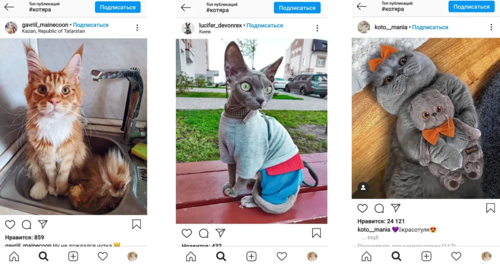 челлендж в инстаграм семь