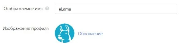 реклама в тик ток имя