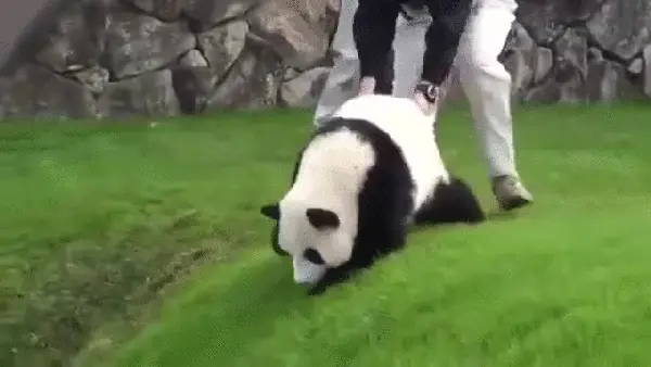 как начать холодный звонок