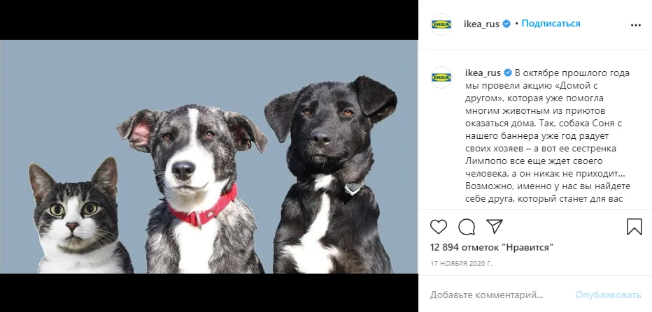 вовлекающий пост благотворительность