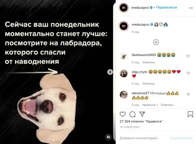 вовлекающий пост животные