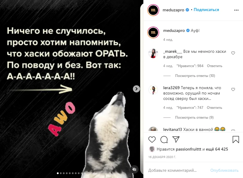 вовлекающий пост контент с животными