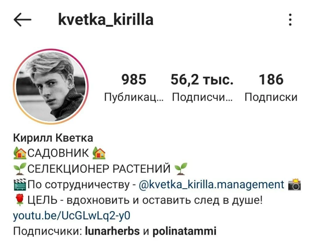 что написать о себе в инстаграм цель блога