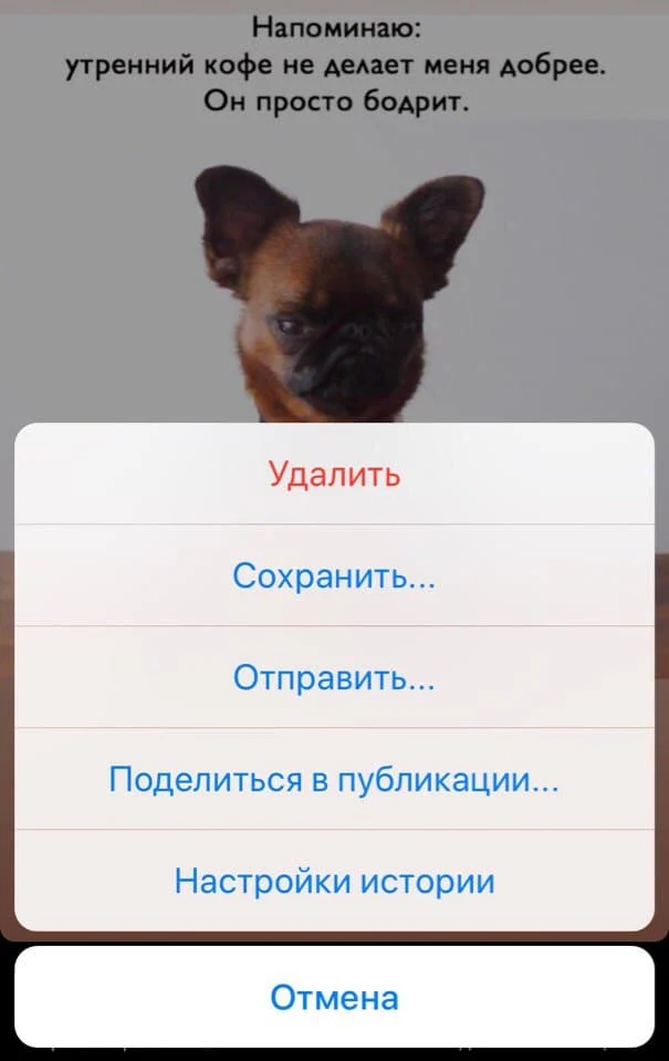 сторис в инстаграм как скачать сторис
