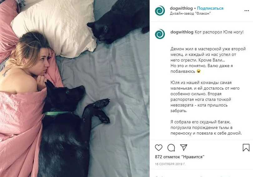 темы для блога в инстаграм питомцы