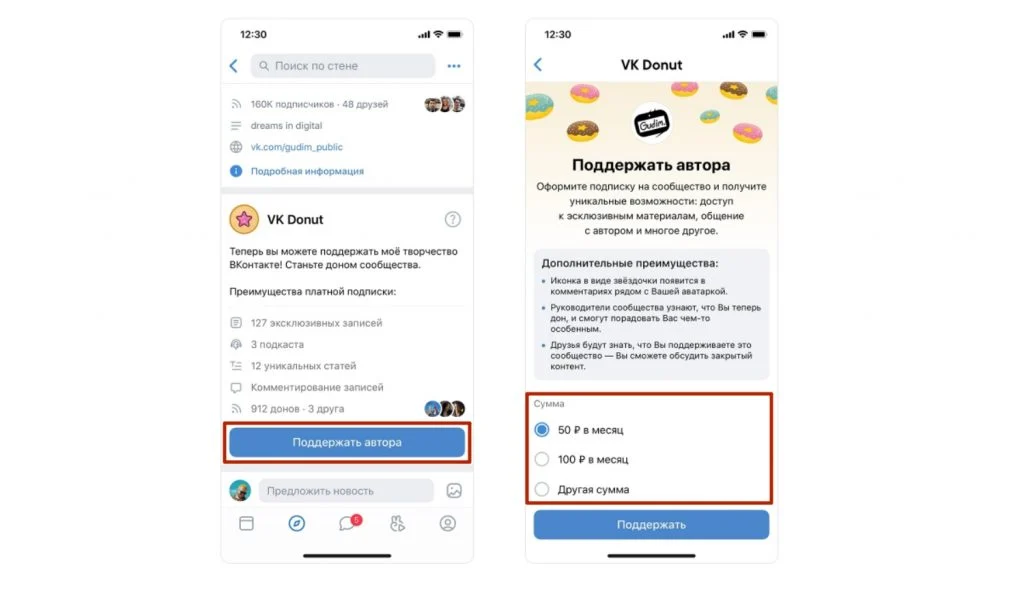 платная подписка в блоге